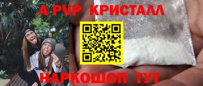 спиды Гай