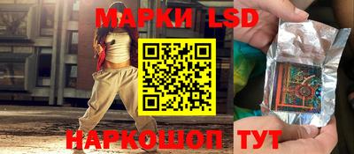 спиды Гай