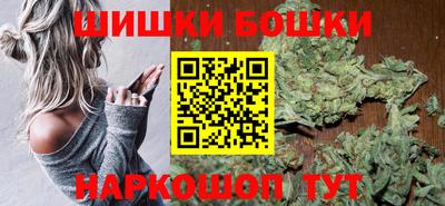 спиды Гай