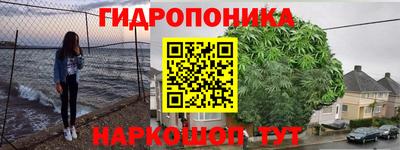 спиды Гай