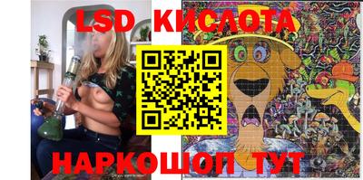 спиды Гай