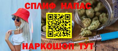 спиды Гай
