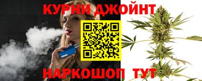 спиды Гай