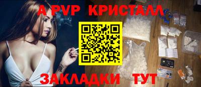 спиды Гай