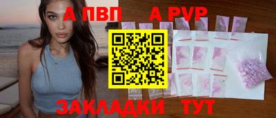 спиды Гай