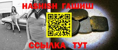 спиды Гай