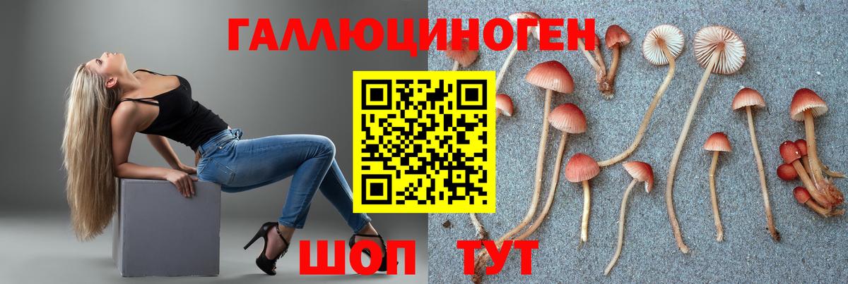 Галлюциногенные грибы прущие грибы  Вход с VPN  Можайск 